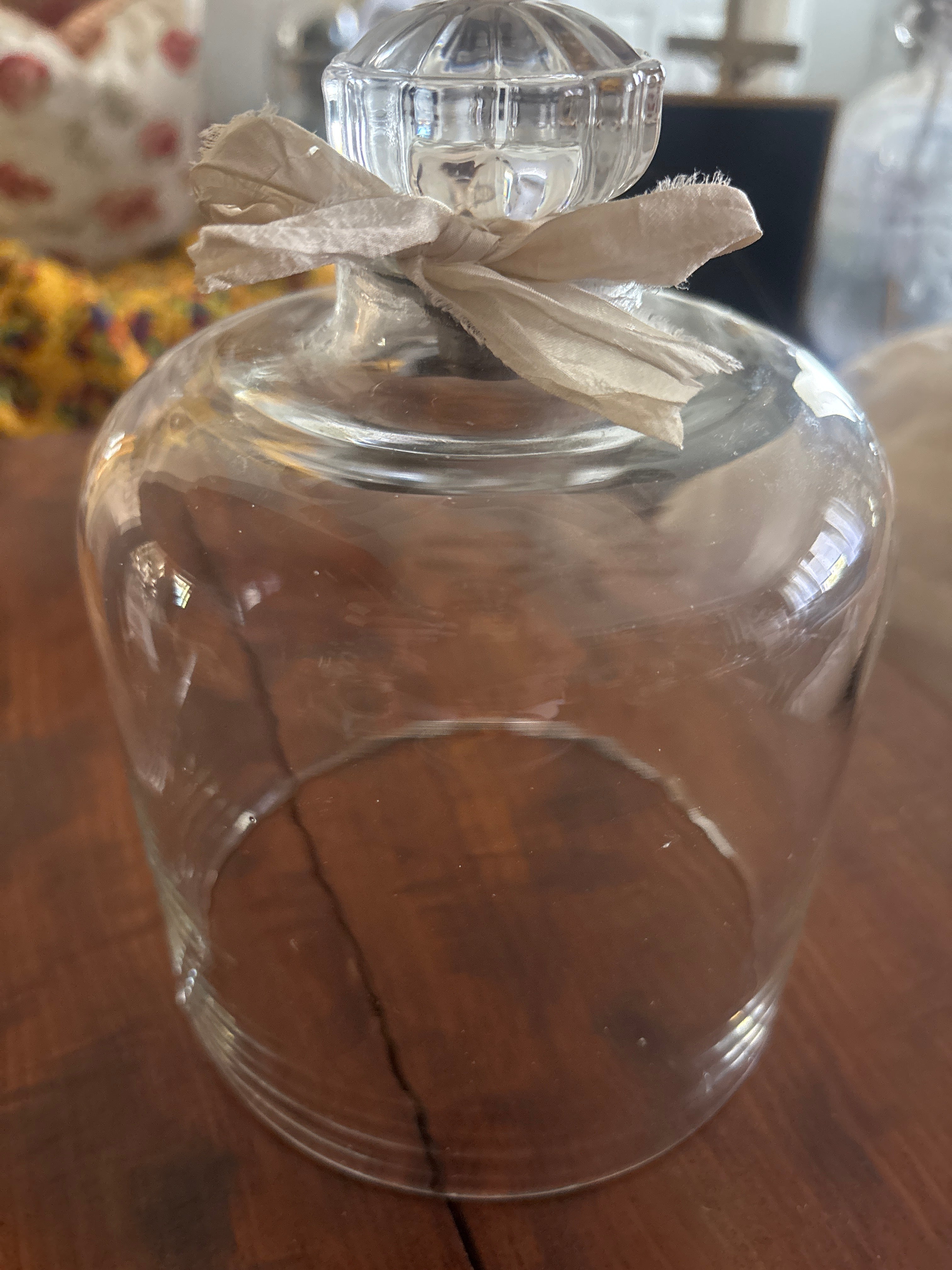 Vintage glass cloche
