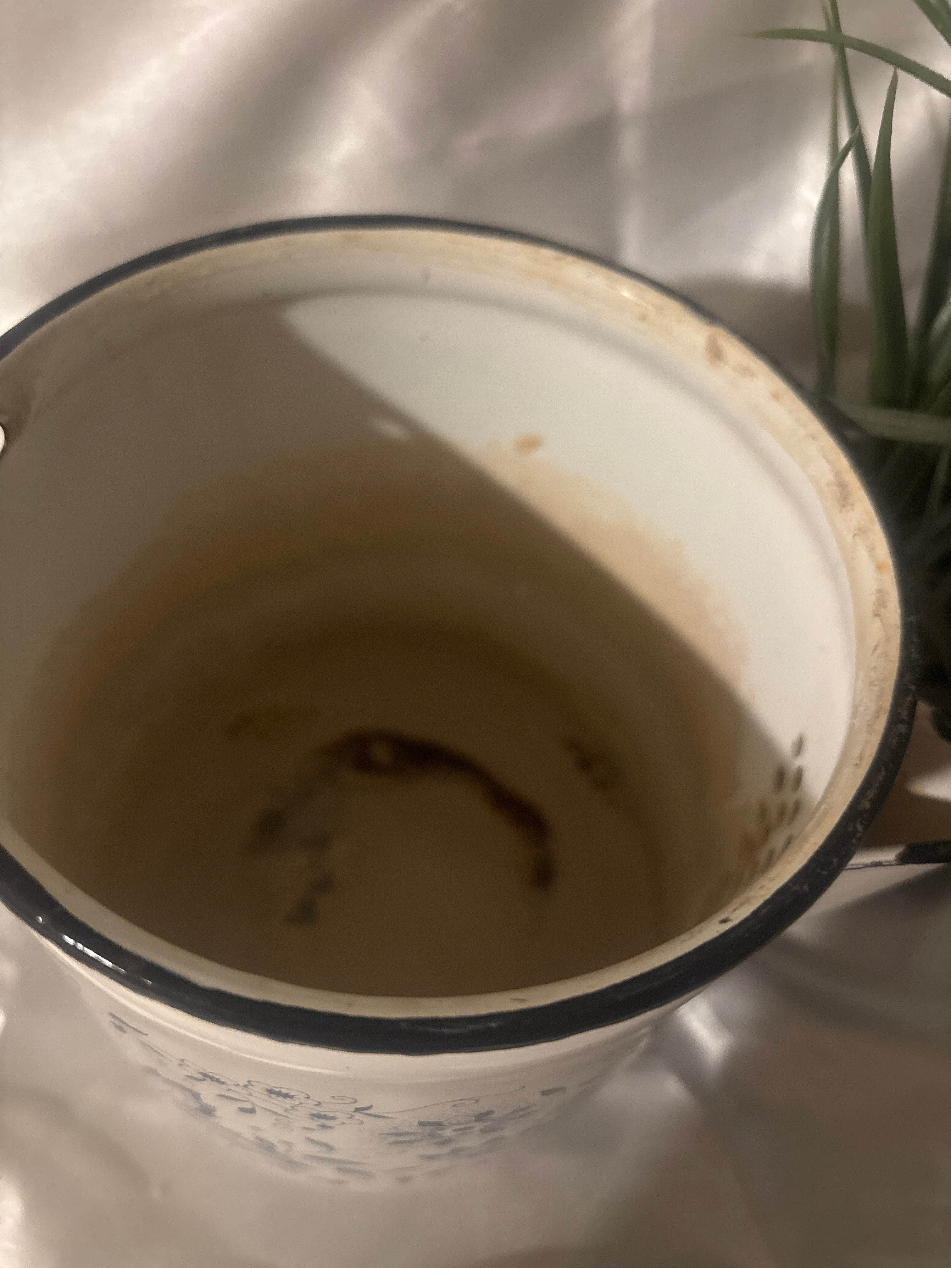 Vintage enamel tea pot blue and white