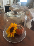 Vintage glass cloche