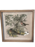 BIRD & BOTANICAL PRINT BIRDS ROBINS