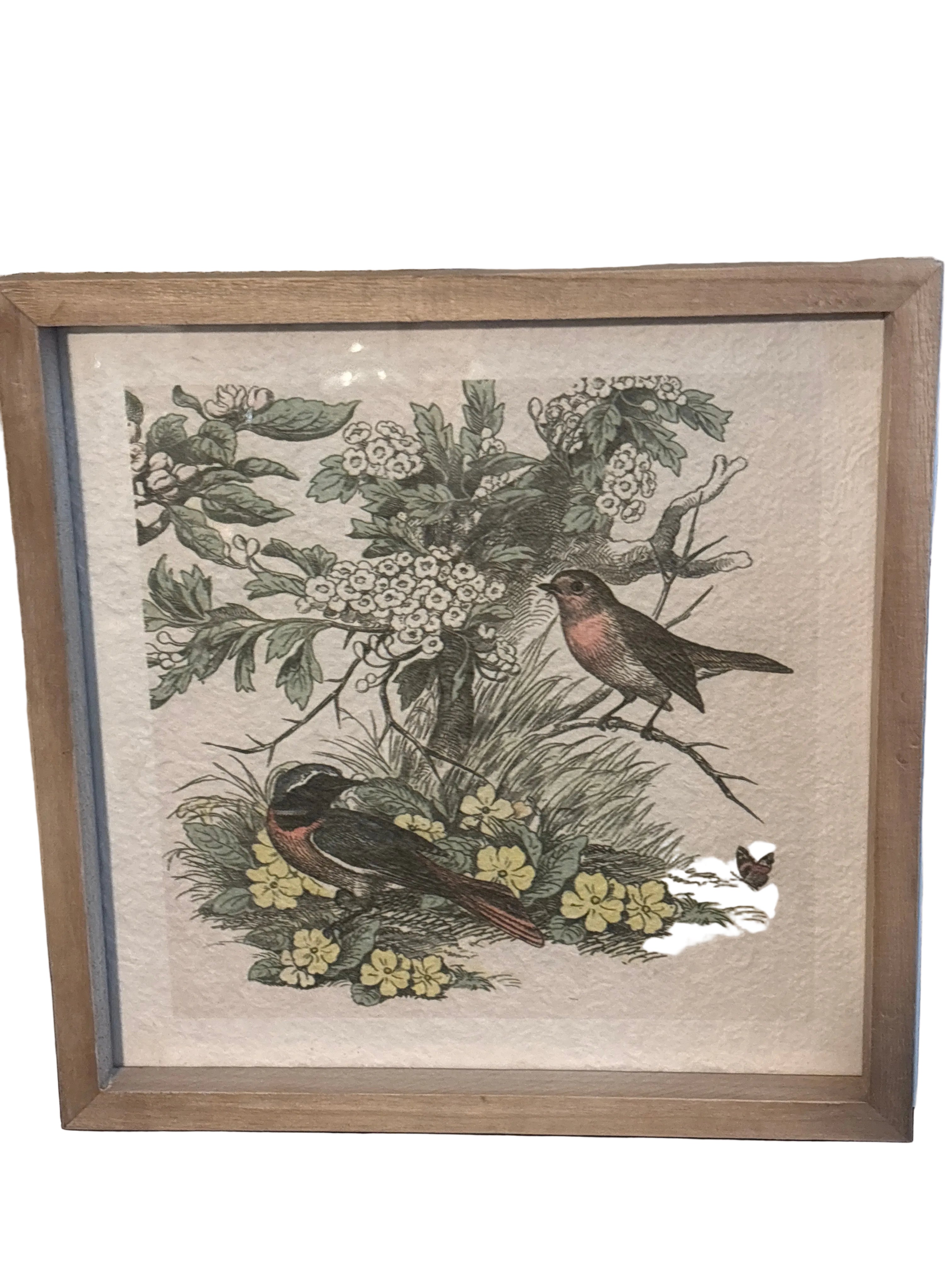 BIRD & BOTANICAL PRINT BIRDS ROBINS