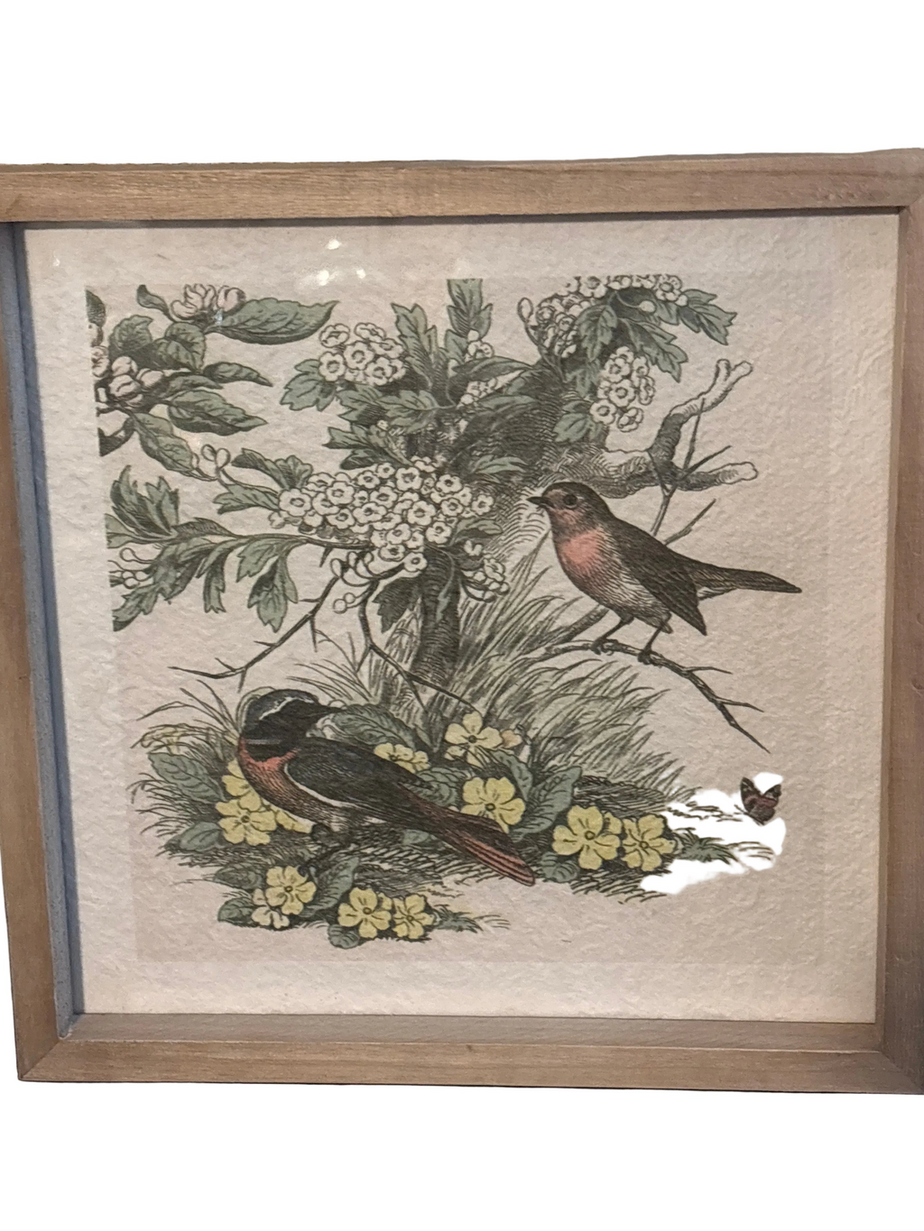 BIRD & BOTANICAL PRINT BIRDS ROBINS